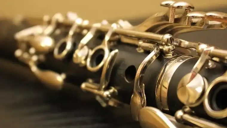 Wer Holzblasinstrumente liebt: Kauf-Tipps für Sie