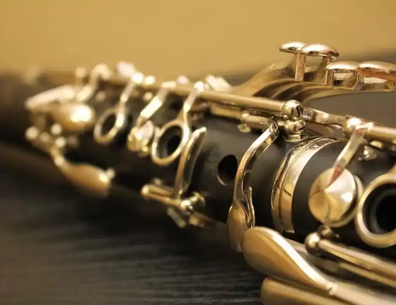 Wer Holzblasinstrumente liebt: Kauf-Tipps für Sie